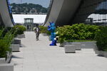 DSC_5796.JPG